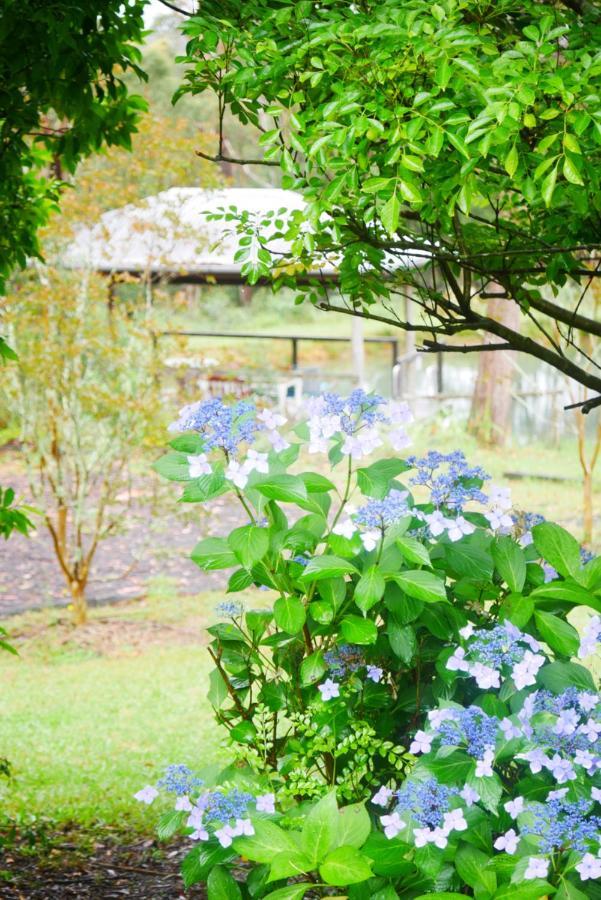 True North - 4Br Home & Garden In Bush Setting With Huge Bath Bilpin المظهر الخارجي الصورة